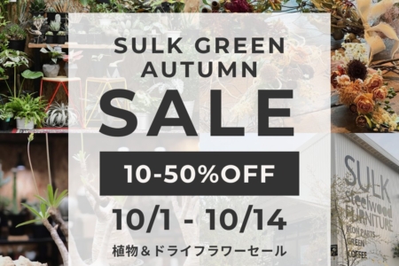 写真：10月1日〜14日 SULK GREEN / DRYFLOWER オータムセール開催！