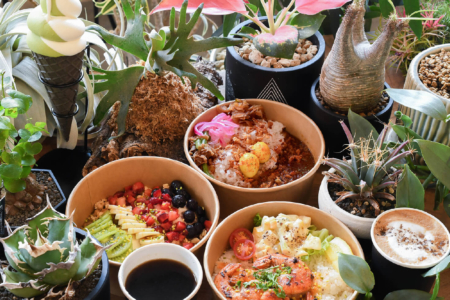 写真：【SULK GREEN CAFE OSAKA】大阪市中央区なノにわにカフェ ✕ 植物販売 2号店をオープン