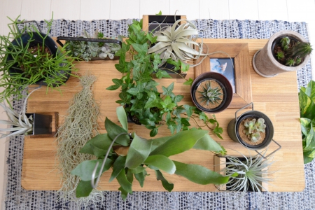 写真：スチール・アイアン家具とナチュラルな観葉植物という組合せ
