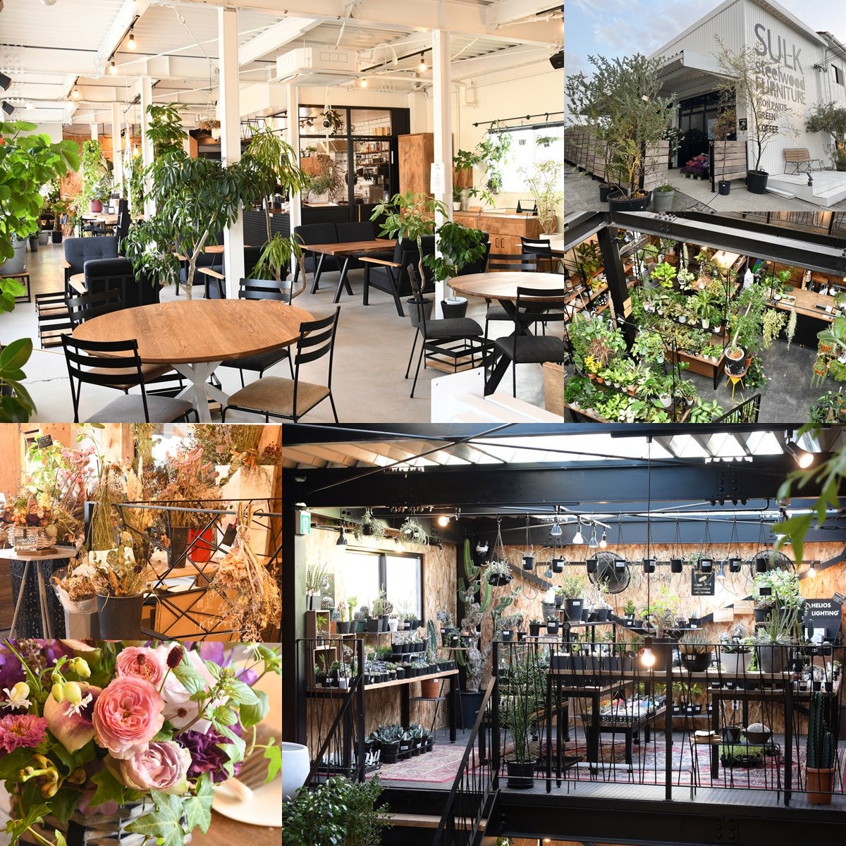 SULK GREEN CAFE SAKAI