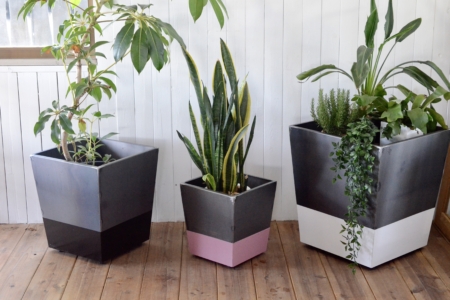 写真：POT COVER デビュー！！（ポットカバー、鉢カバー、観葉植物）